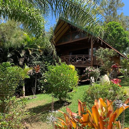 Le Nirvana - Oasis De Tendea - Farino Exteriér fotografie