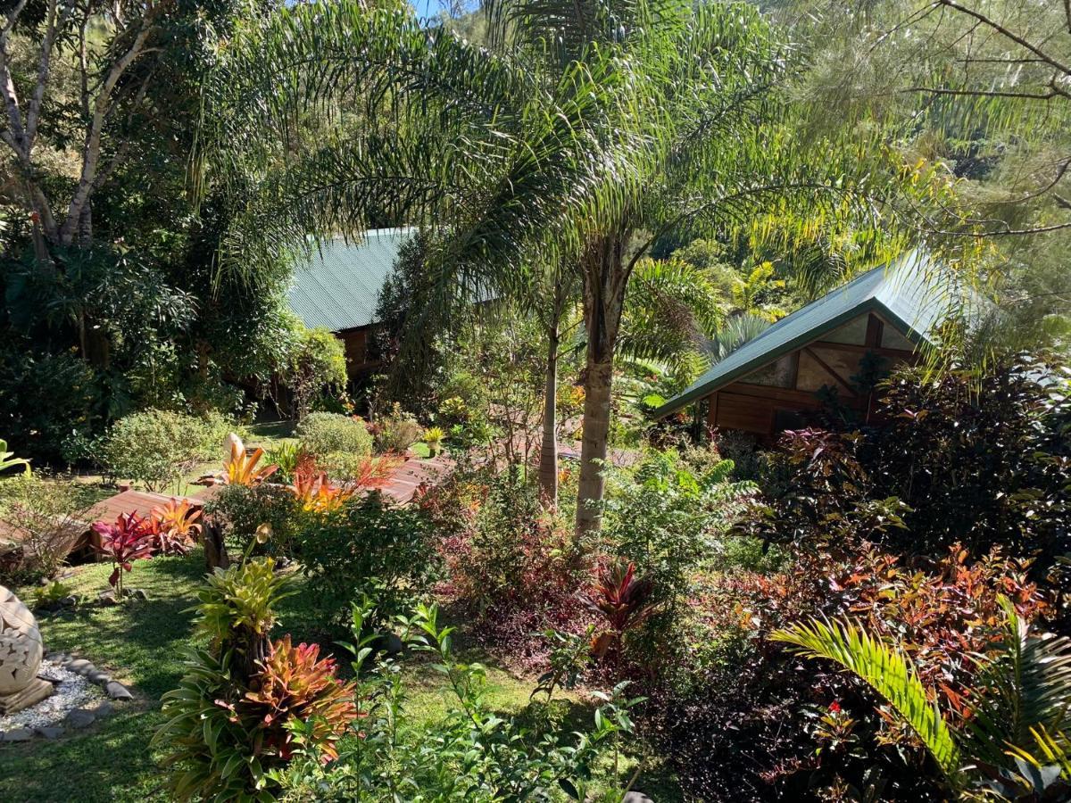 Le Nirvana - Oasis De Tendea - Farino Exteriér fotografie