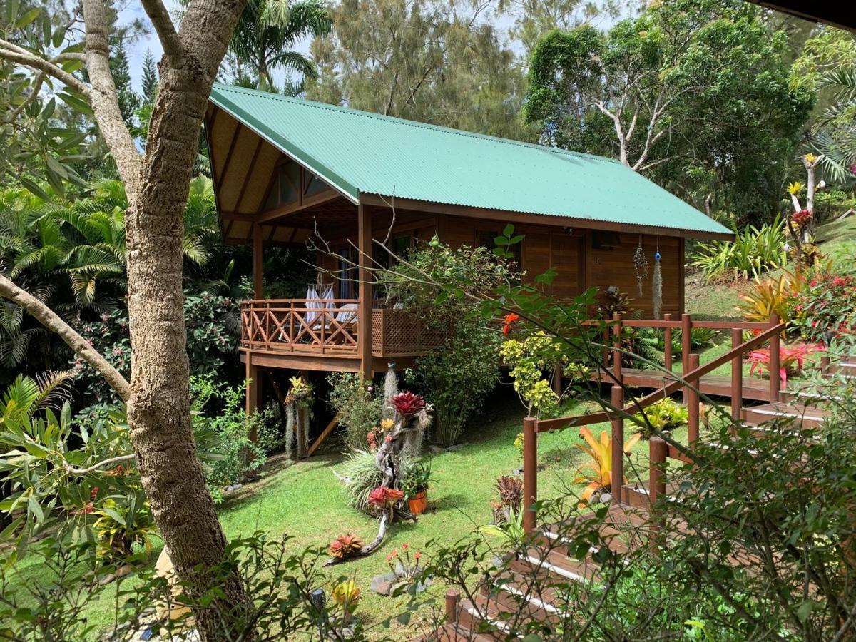 Le Nirvana - Oasis De Tendea - Farino Exteriér fotografie